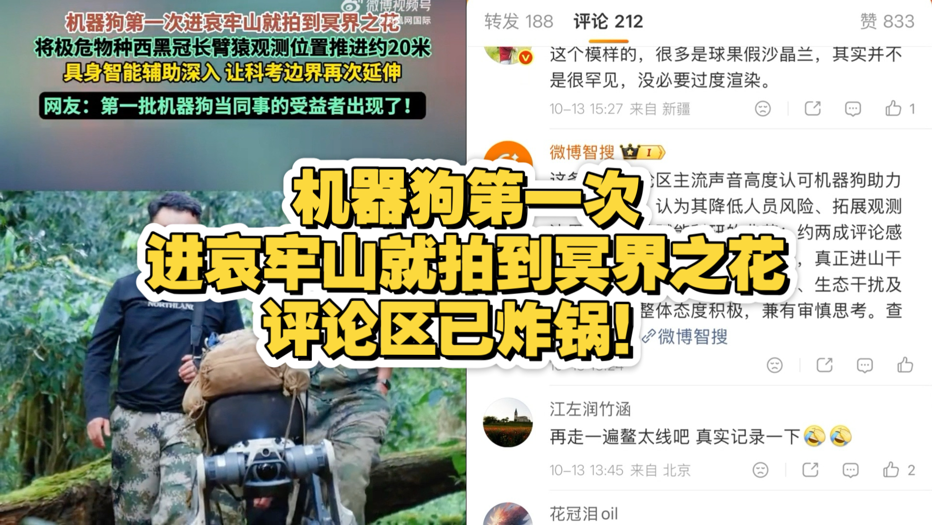 机器狗第一次进哀牢山就拍到冥界之花，评论区已炸锅！