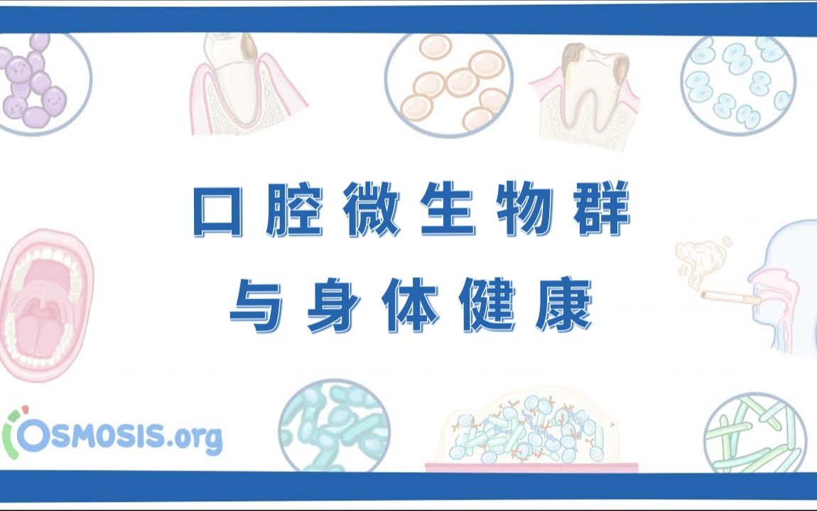 【osmosis】口腔微生物群 the oral microbiota(中英字幕)