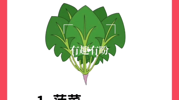 女生必吃经期十大蔬菜哔哩哔哩bilibili