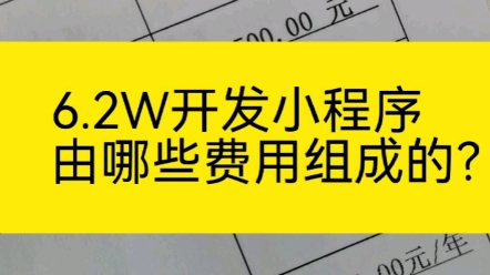 6.2万开发小程序有哪些费用组成的?哔哩哔哩bilibili