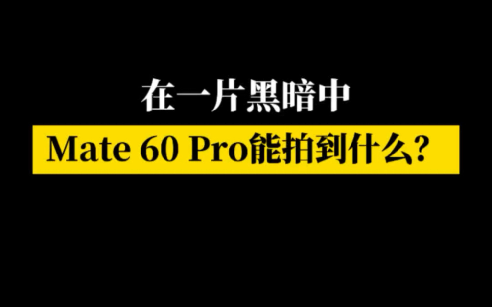 在一片黑暗中,Mate 60 Pro能拍到什么?哔哩哔哩bilibili