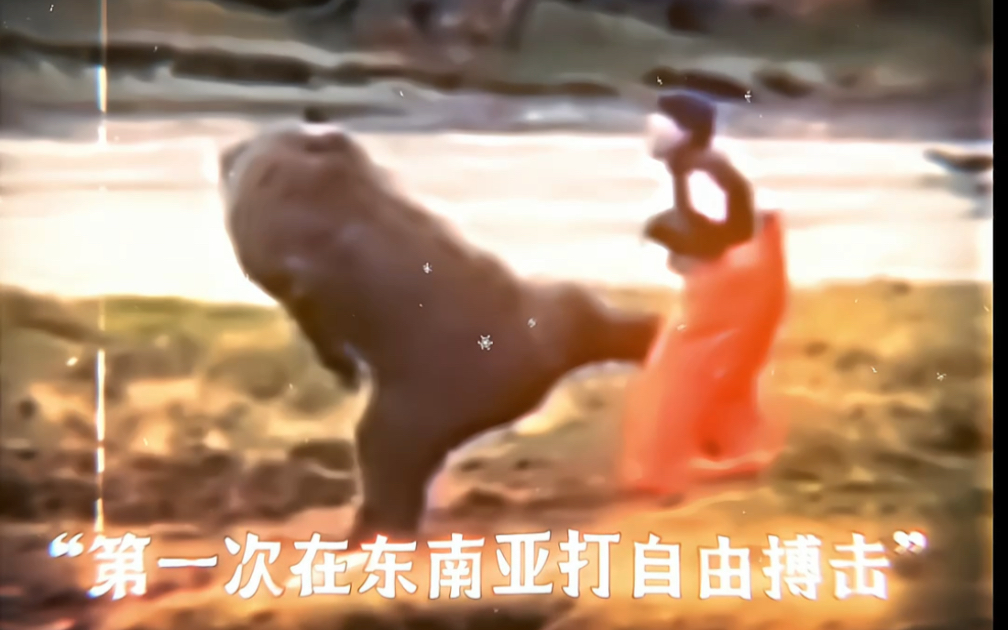 "功夫熊猫"#自由搏击 #一招制敌