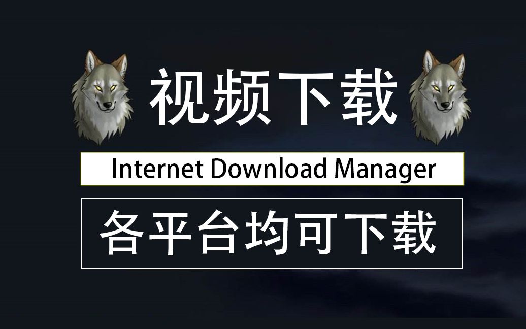 视频下载,必备工具【各主流视频网站均可下载】 1688 淘宝 拼多多电商平台轻松下载【跨境电商 Shopee 亚马逊 wish】哔哩哔哩bilibili