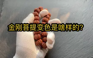 Tải video: 金刚菩提盘玩变色的基本情况