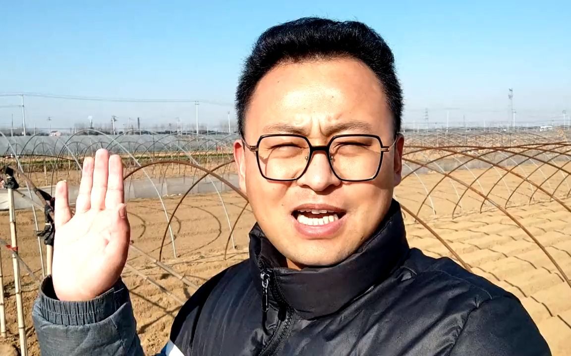 [图]山东农村怪现象：土地承包大户，为啥纷纷出让土地？农民讲出真相