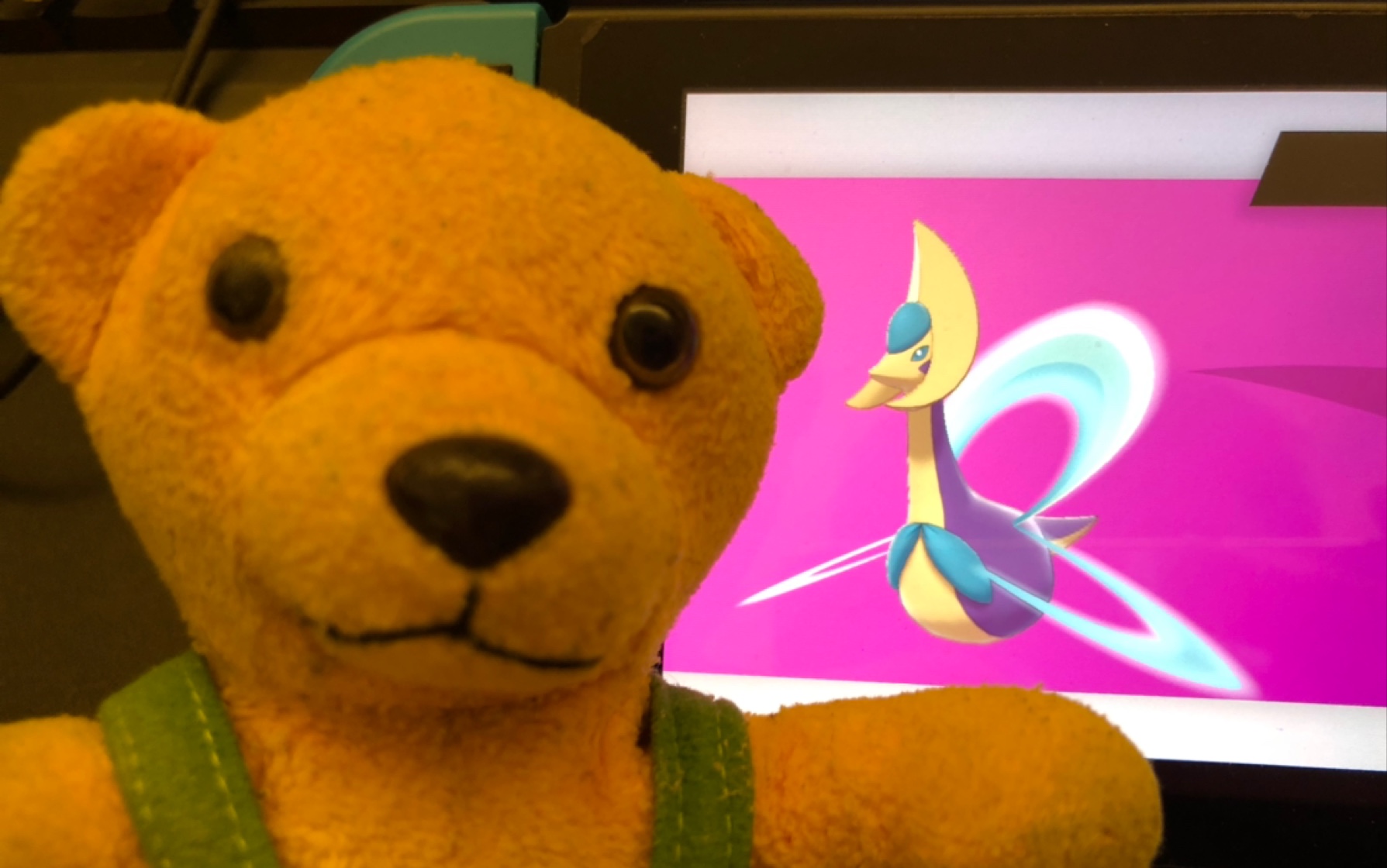 【宝可梦剑盾】金刚狼爱波波42次闪美美哒克雷色利亚