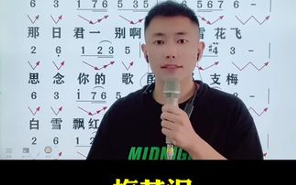 简谱教唱《梅花泪》哔哩哔哩bilibili