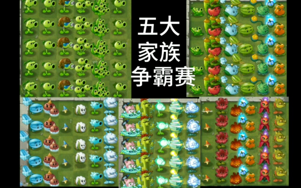 五大植物家族争霸赛哔哩哔哩bilibili