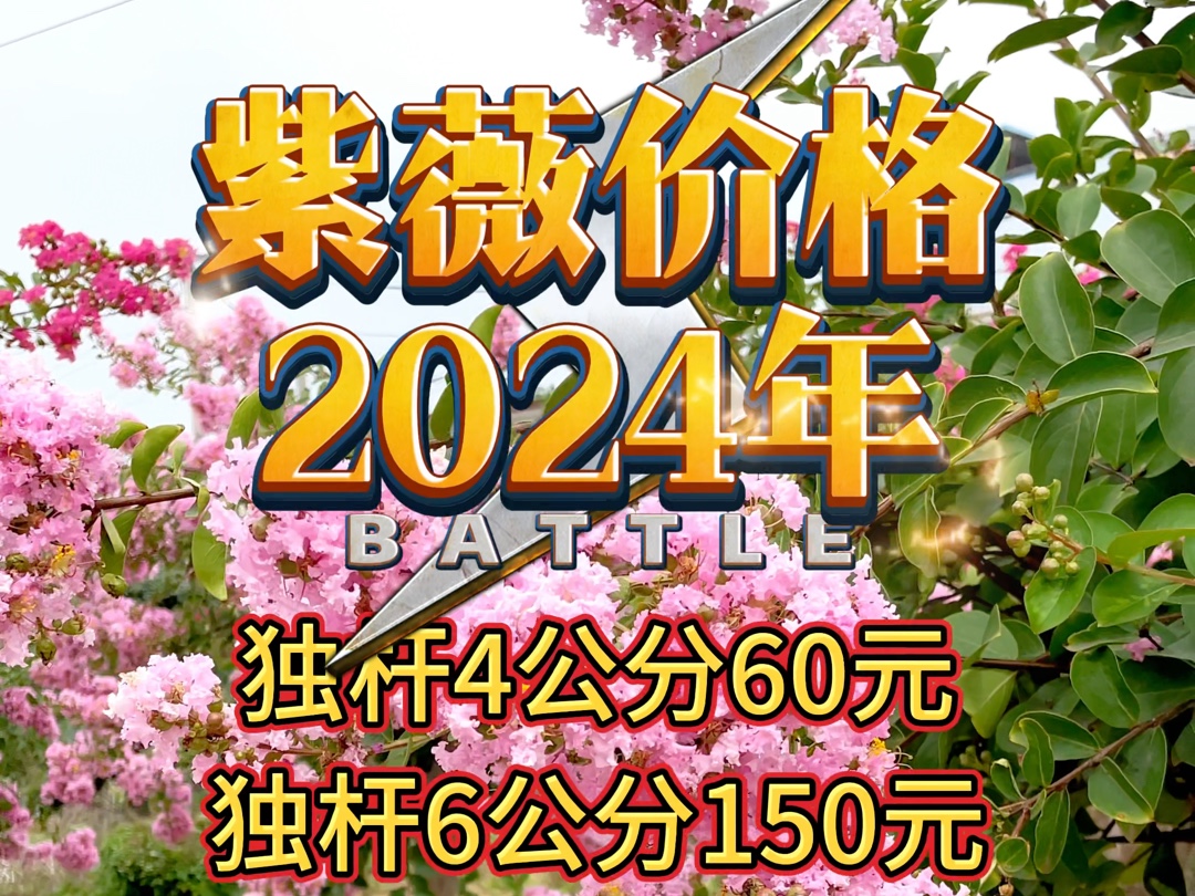 2024年最新紫薇价格,保定产地报价哔哩哔哩bilibili