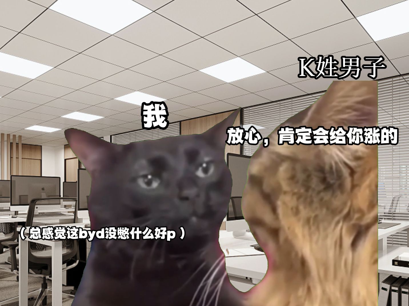 【猫猫meme】关于完全不懂人力资源的我突然成为人事部长这回事哔哩哔哩bilibili