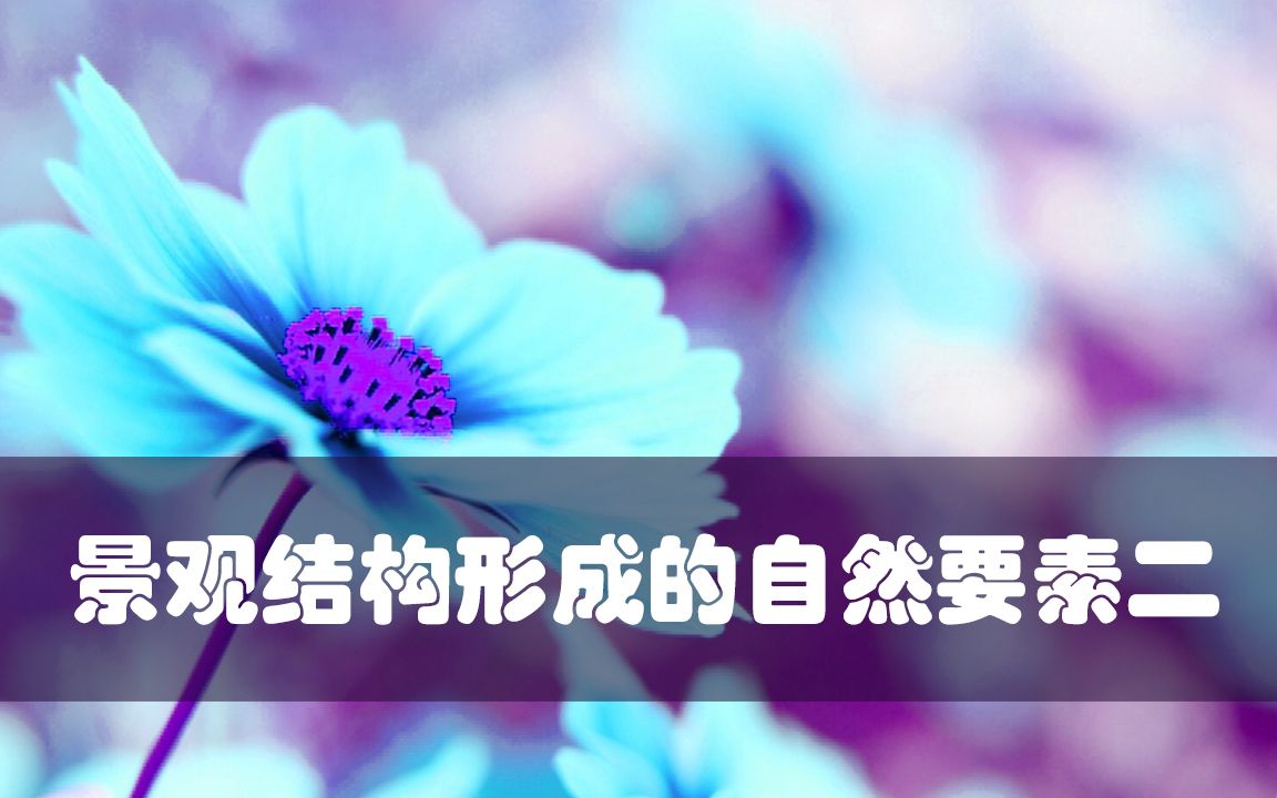 景观结构形成的自然要素二哔哩哔哩bilibili