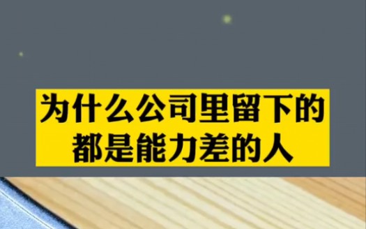 职场锦囊为什么公司里留下的都是能力差的人?哔哩哔哩bilibili