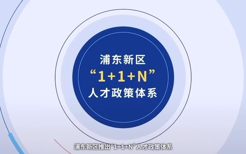 重磅推出|一片看懂浦东新区”1+1+N“人才政策体系哔哩哔哩bilibili