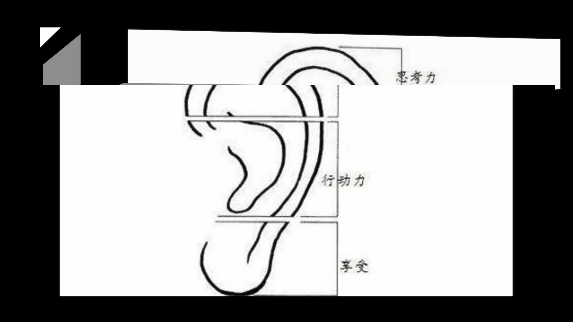 在面相上耳朵天轮比较尖代表什么?哔哩哔哩bilibili