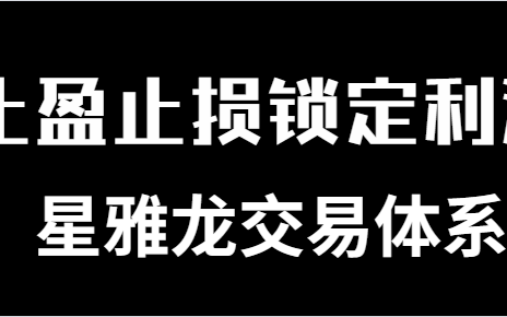 [图]星雅龙教学 盈利交易系统如何建立 模型构建完整交易系统讲解