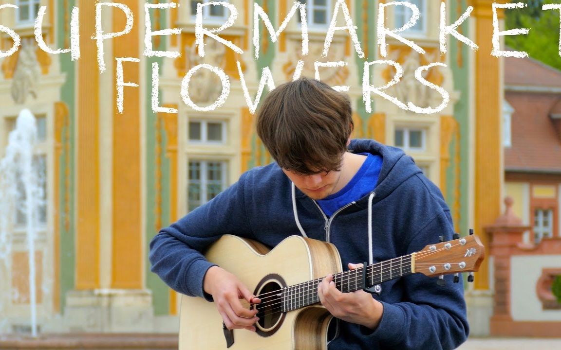 指弹吉他supermarketflowersedsheeraneddievandermeer