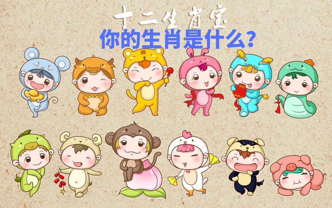 你的生肖究竟是什么?哔哩哔哩bilibili