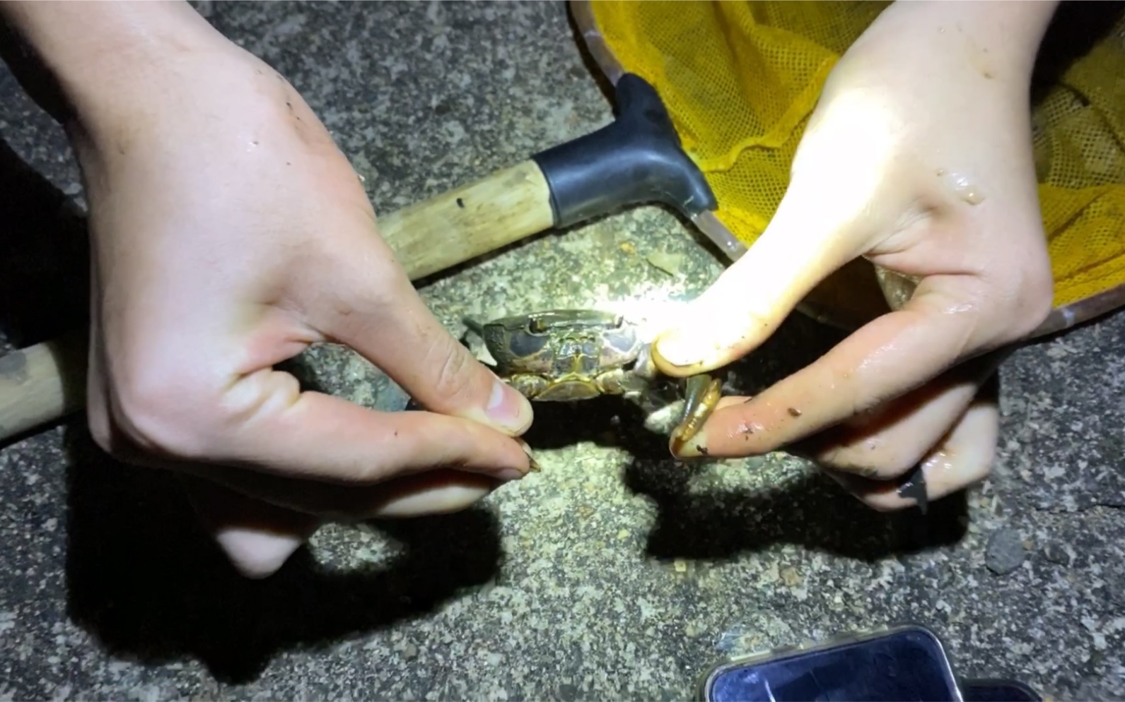 晚上抓螃蟹,今天也是有趣的一天