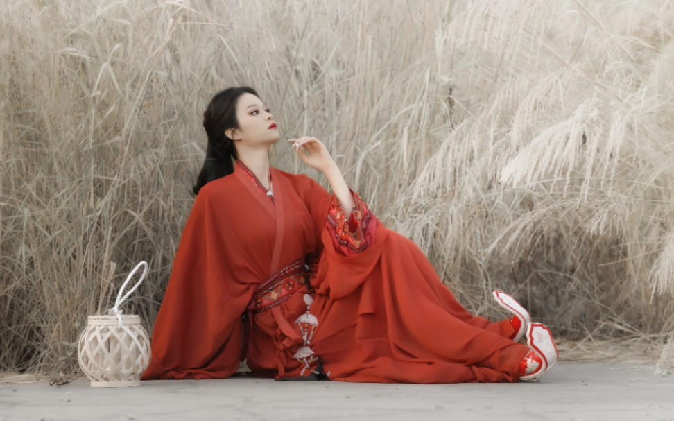 《战国袍》芦苇荡拍宿命感古风真的是太唯美了