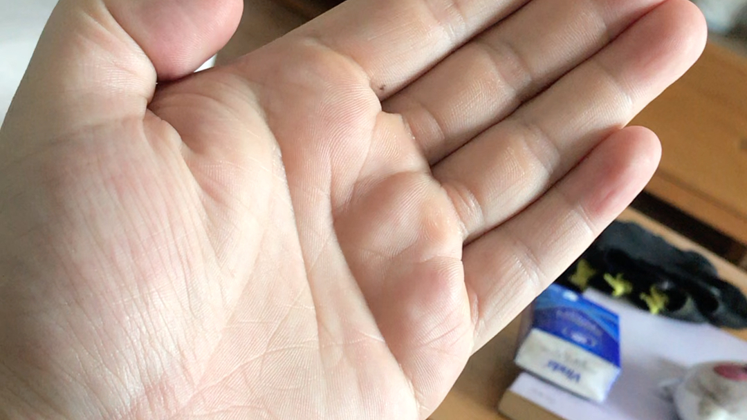 撸猫撸狗大嵩阳手