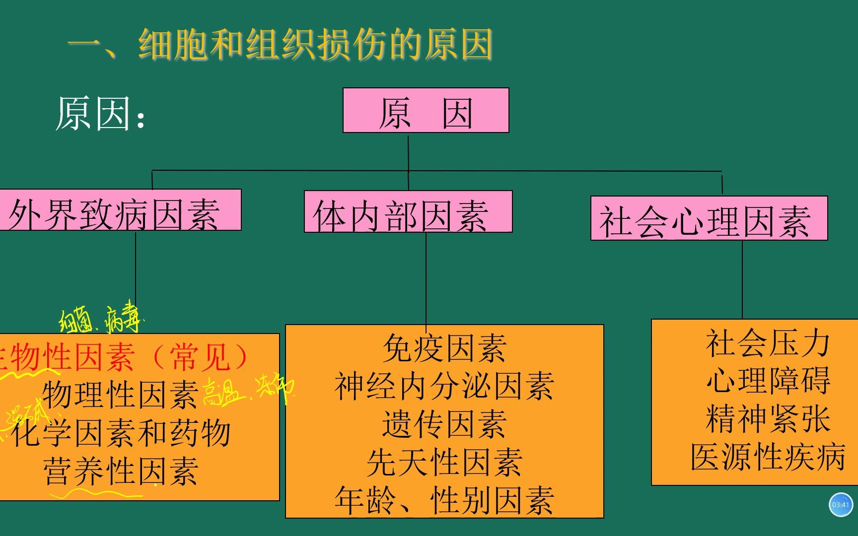 病理学 变性哔哩哔哩bilibili