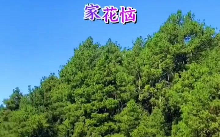 [图]『乡村风光』一路风景一路心情 ，家花香、野花也俏。呵呵……