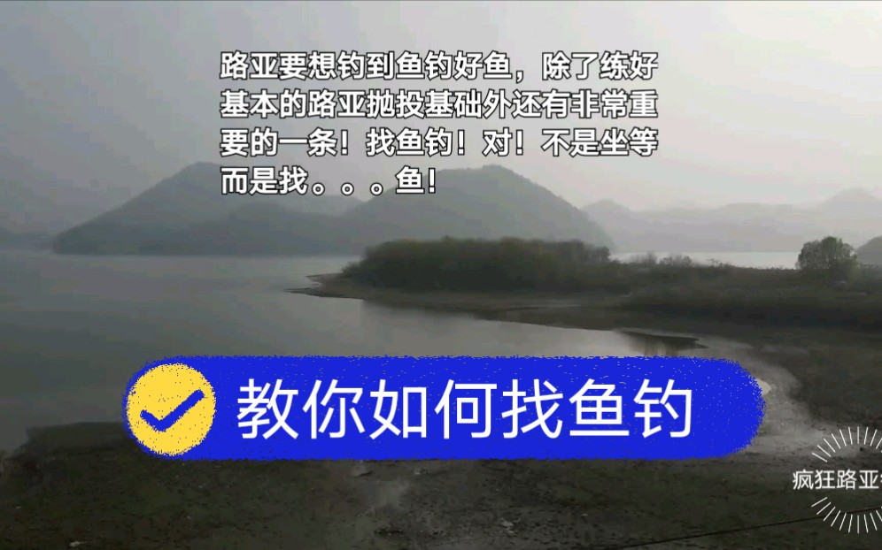 路亚你钓不到鱼?水中没鱼你钓个毛!路亚目标鱼标点寻找之一哔哩哔哩bilibili