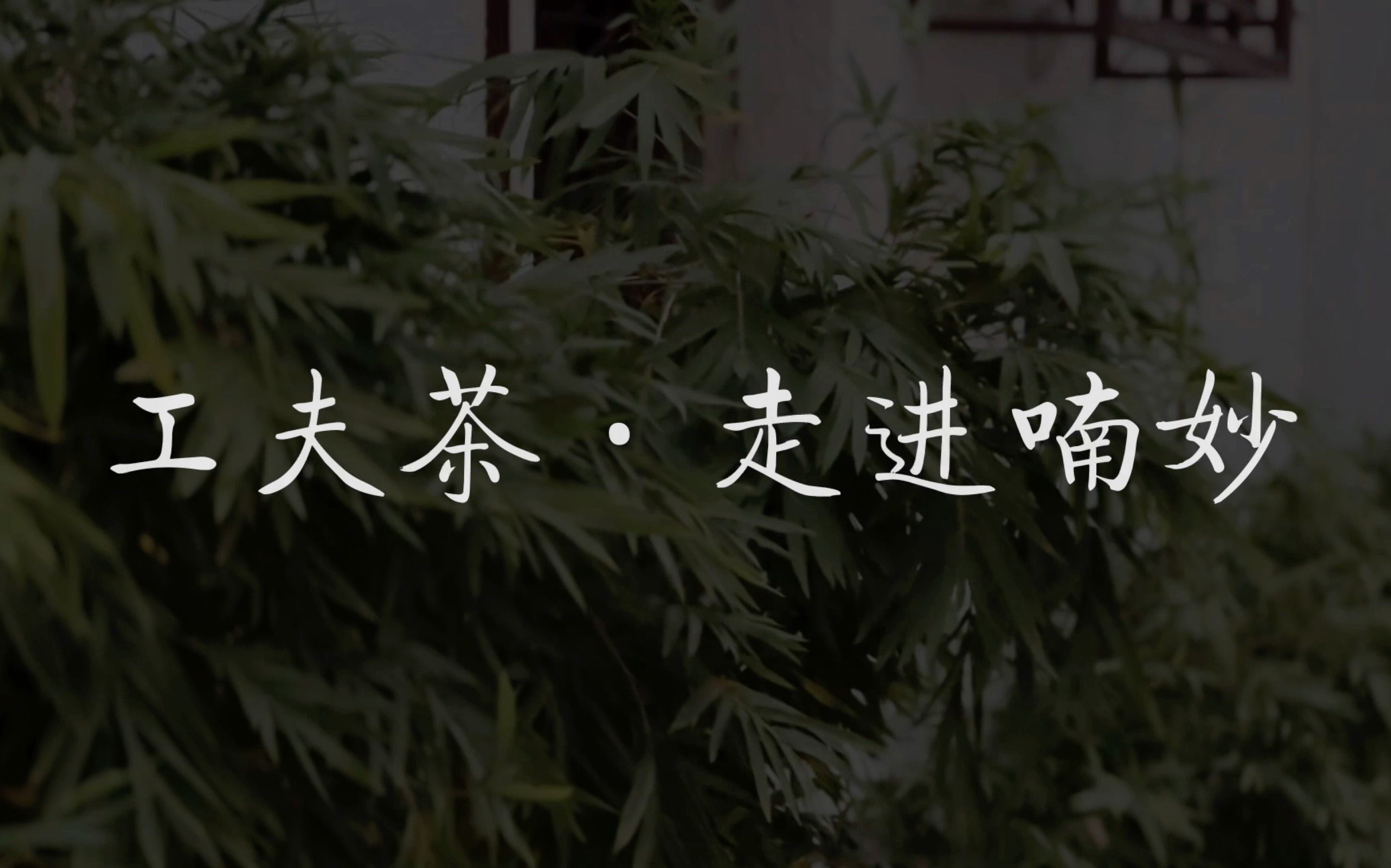 [图]潮州工夫茶｜喃妙茶舍