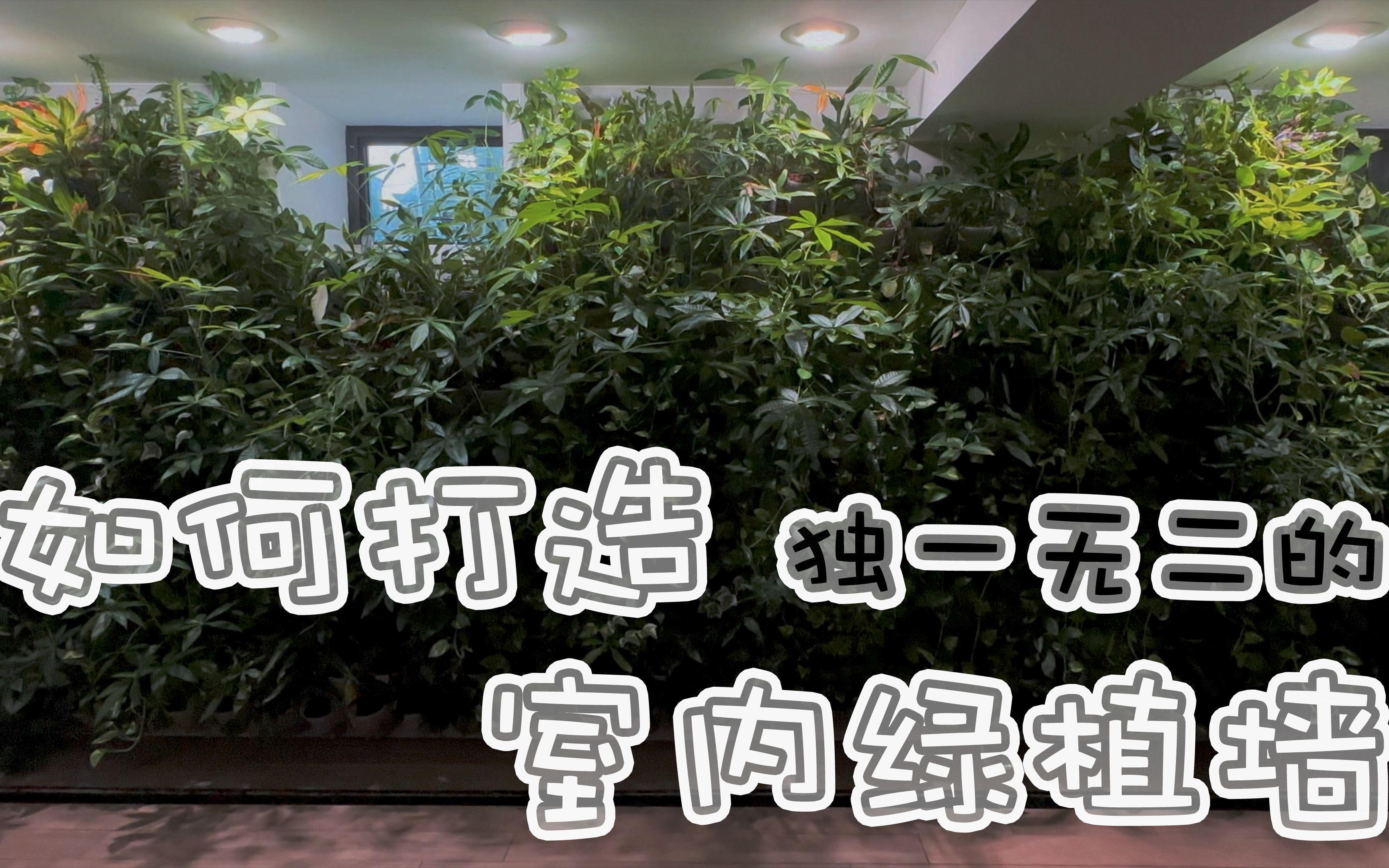 实名羡慕拥有一整面绿植墙的梦想之家|600盆植物的植物墙|超省心自动浇水系统哔哩哔哩bilibili