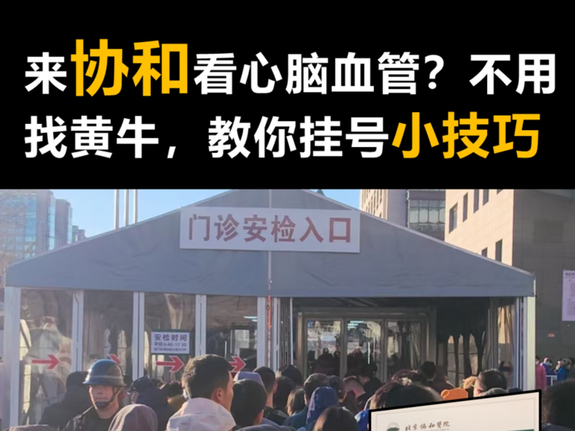 关于二龙路肛肠医院黄牛检查加急代挂号名医黄牛挂号的信息
