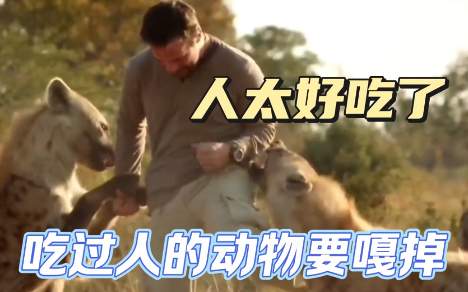 为什么吃过人的动物都要被嘎掉,因为这里面隐藏着巨大的秘密!