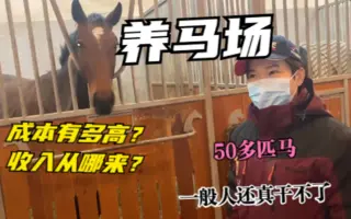 马场一平 搜索结果 哔哩哔哩 Bilibili
