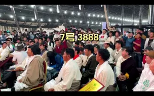 Скачать видео: 【阿依舍】虫草拍卖会？抢8888一根虫草是什么体验？