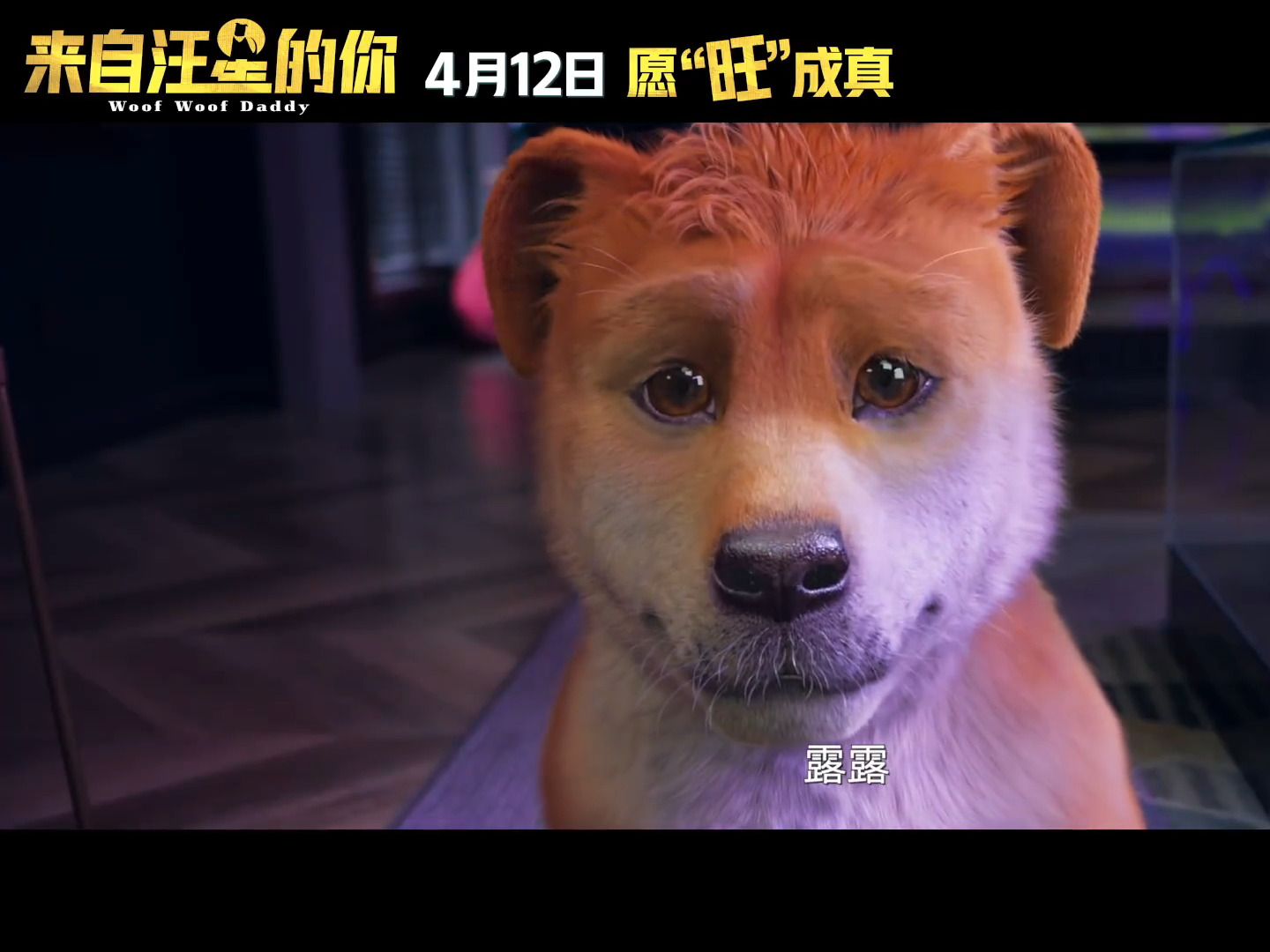 郭富城变成了狗!电影《来自汪星的你》发布定档预告!