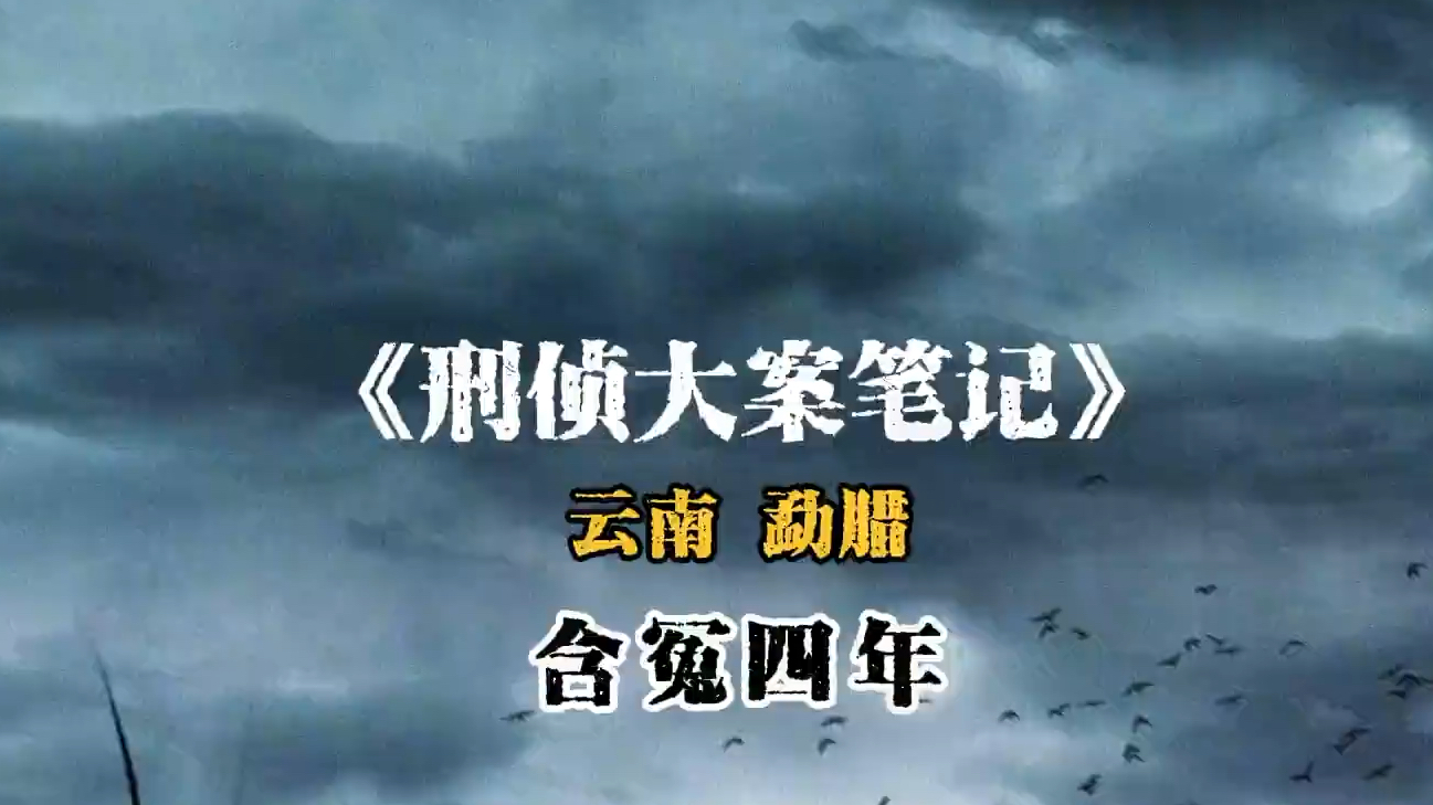 云南勐腊县,男子外出上了两分钟厕所,就被认定是杀人犯哔哩哔哩bilibili