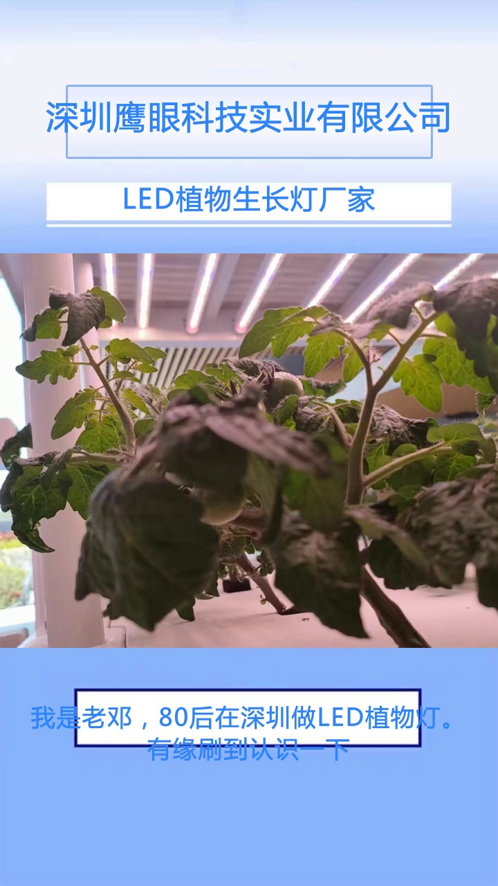 鹰眼农业照明led植物生长灯室内15W反季栽培暖棚补光灯哔哩哔哩bilibili