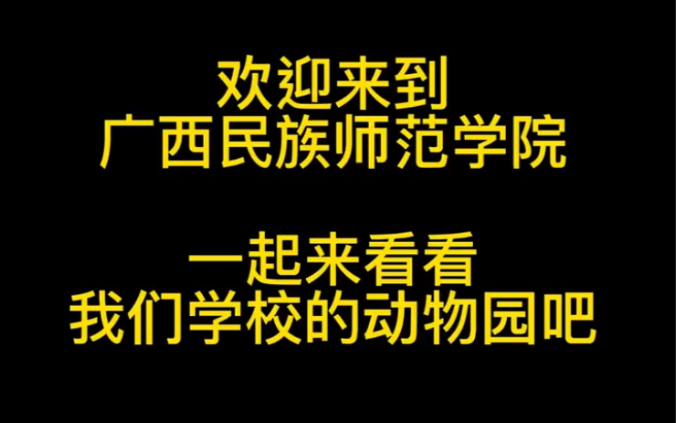 [图]广西民族师范学院、学校动物园、