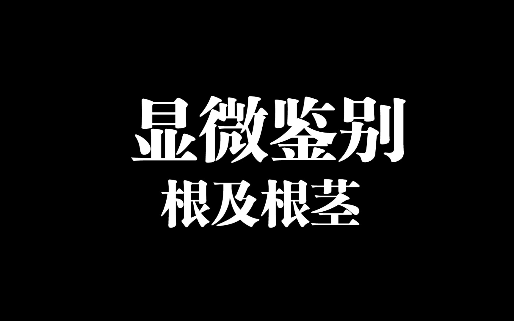 根及根茎——显微鉴别哔哩哔哩bilibili