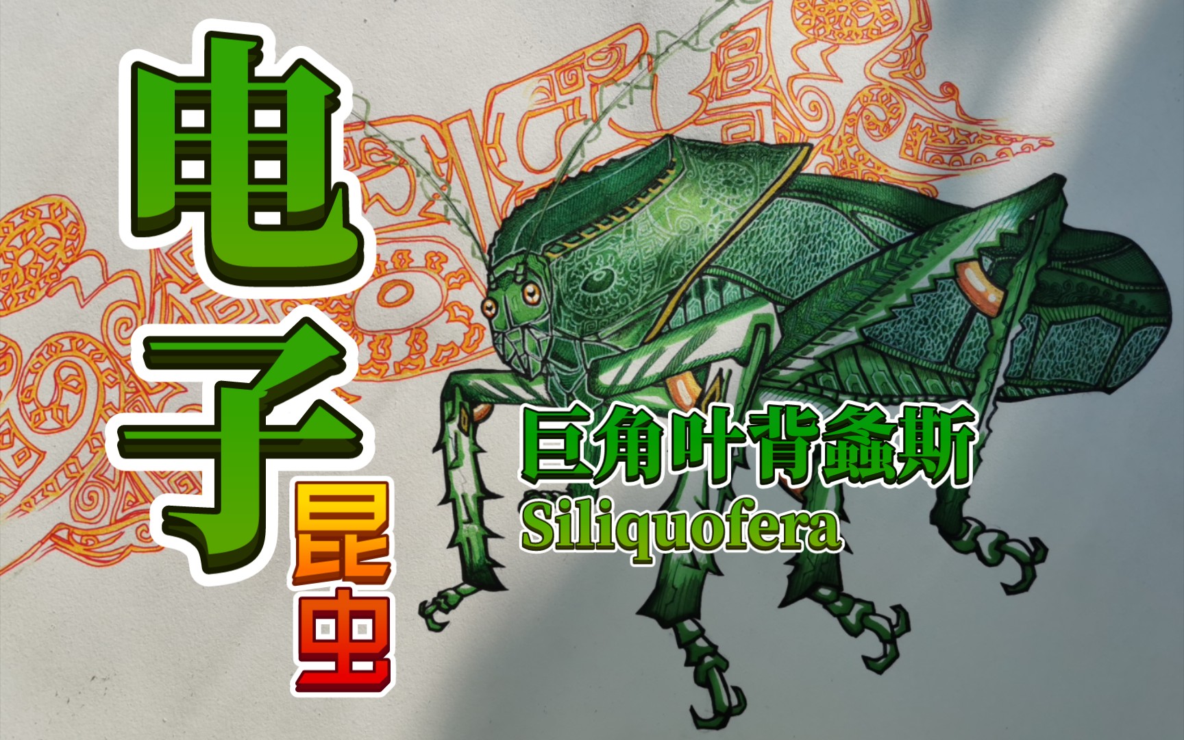 南洋,叶背,大黑艳,越中巨齿蛉!(画)