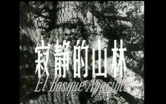 寂静的山林 朱文顺执导 反特题材剧情片 王心刚、浦克主演 1957年哔哩哔哩bilibili