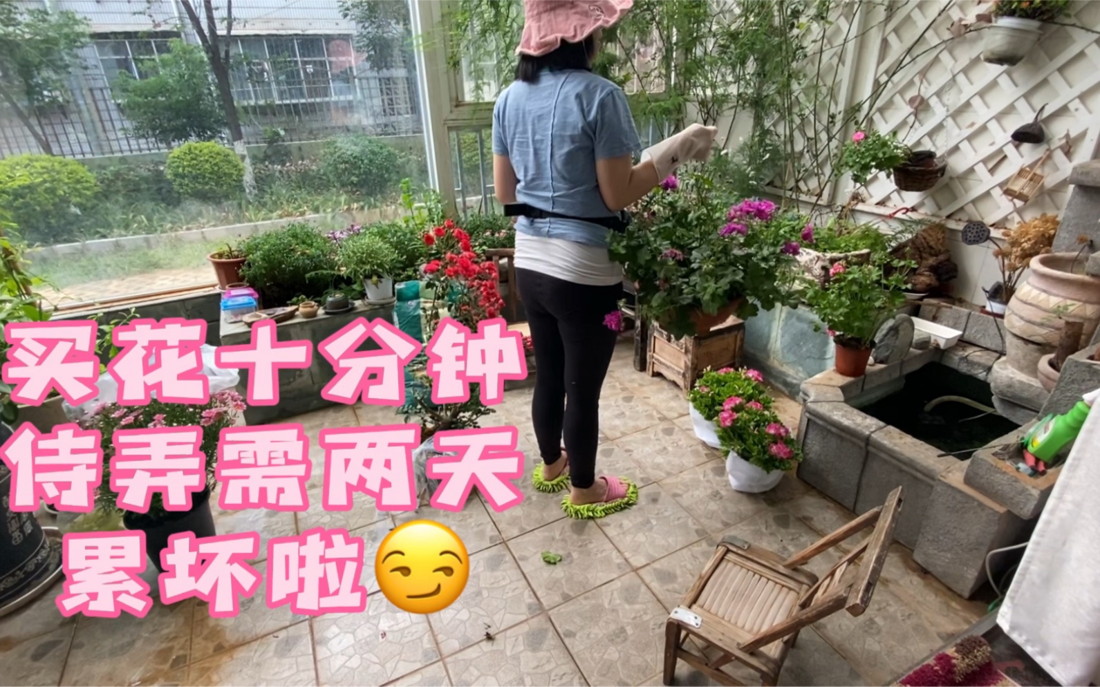 逛昆明晋宁湿地公园,被绿植勾引去斗南花市,花人民币150元买了一堆,买花只用了10分钟,侍弄花花用了两天!以后买花要淡定一点!哔哩哔哩bilibili