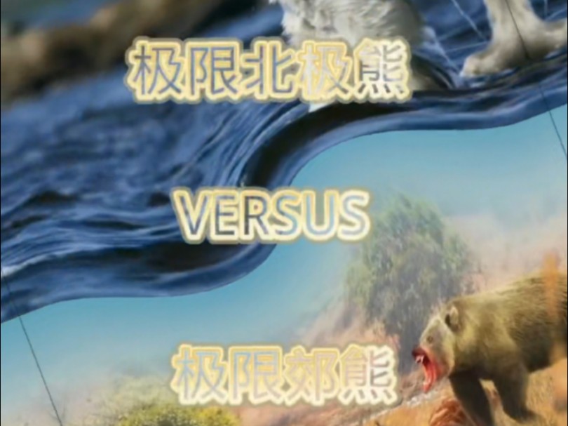 北极熊VERSUS郊熊哔哩哔哩bilibili