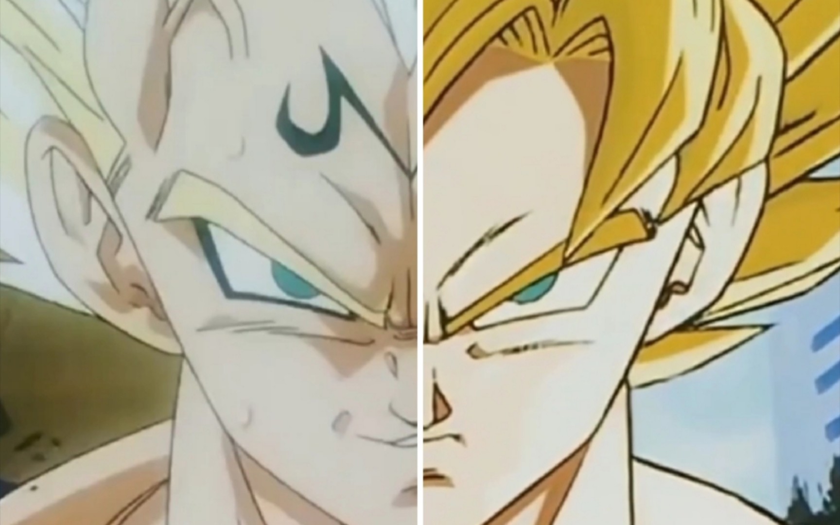 【龙珠z:二人"转"】贝吉塔and卡卡罗特yo