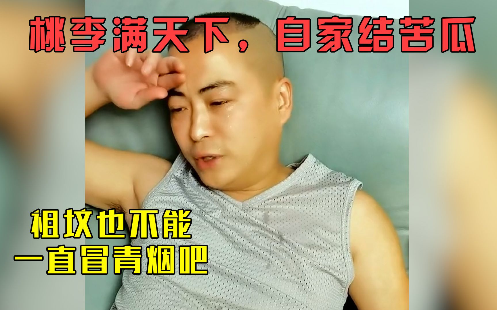 桃李满天下,自家结苦瓜哔哩哔哩bilibili