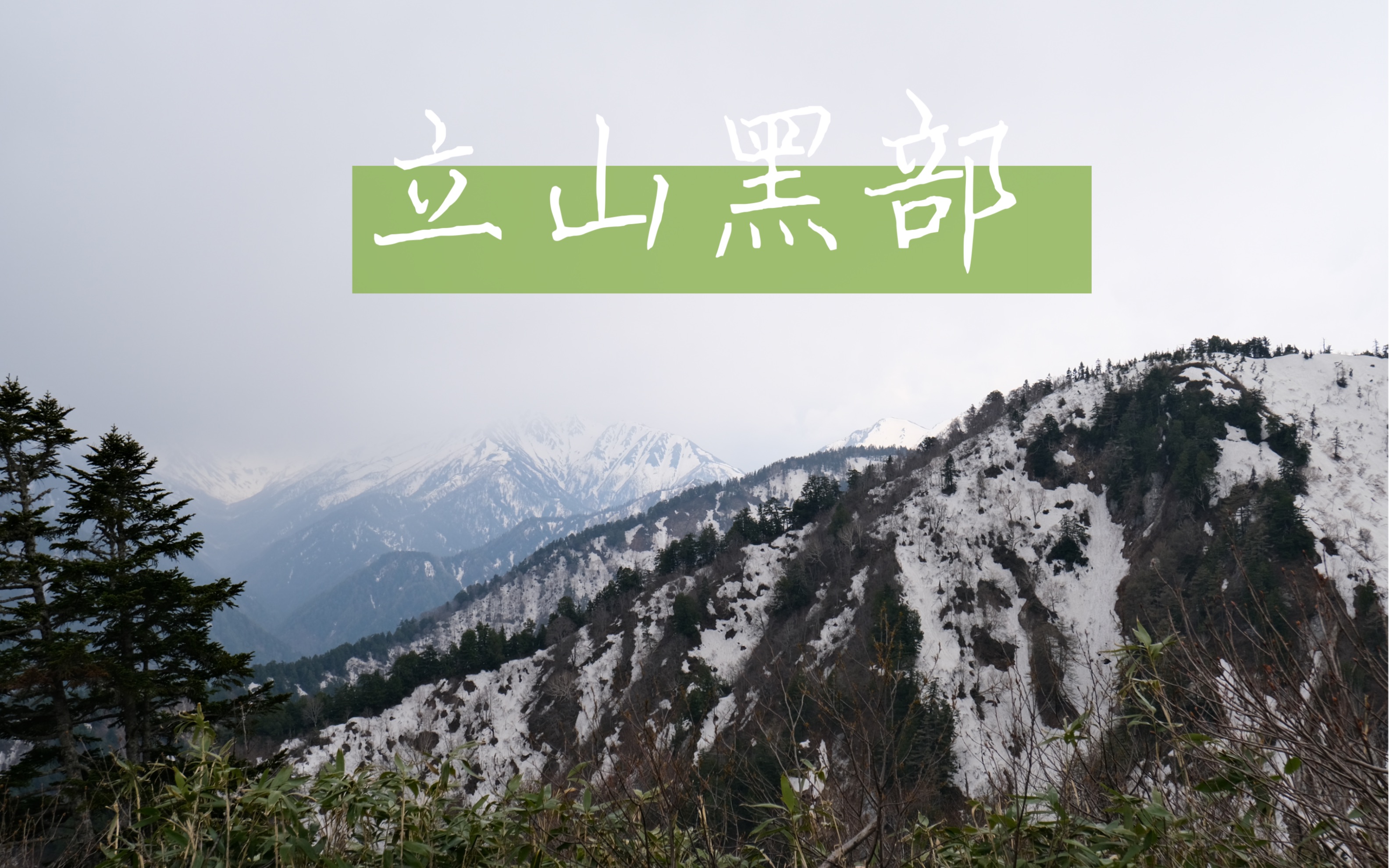 立山黑部雪之大谷