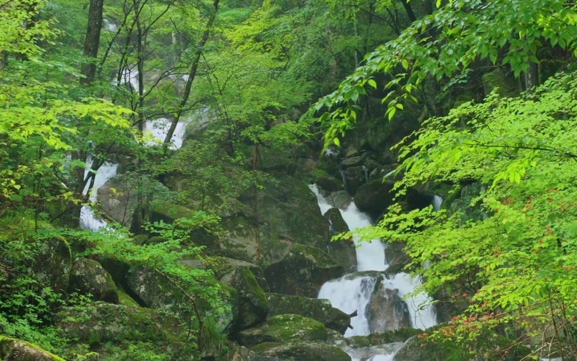 [图]山中石澗 流水 小山 森林 自然 助眠 深度睡眠