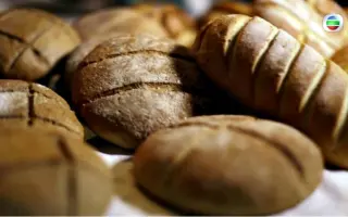 面包的滋味 搜索结果 哔哩哔哩 Bilibili 面包的滋味 搜索结果 哔哩哔哩 Bilibili