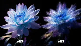 Touchdesigner案例TD案例花朵粒子效果 视频图片转粒子 动态海报