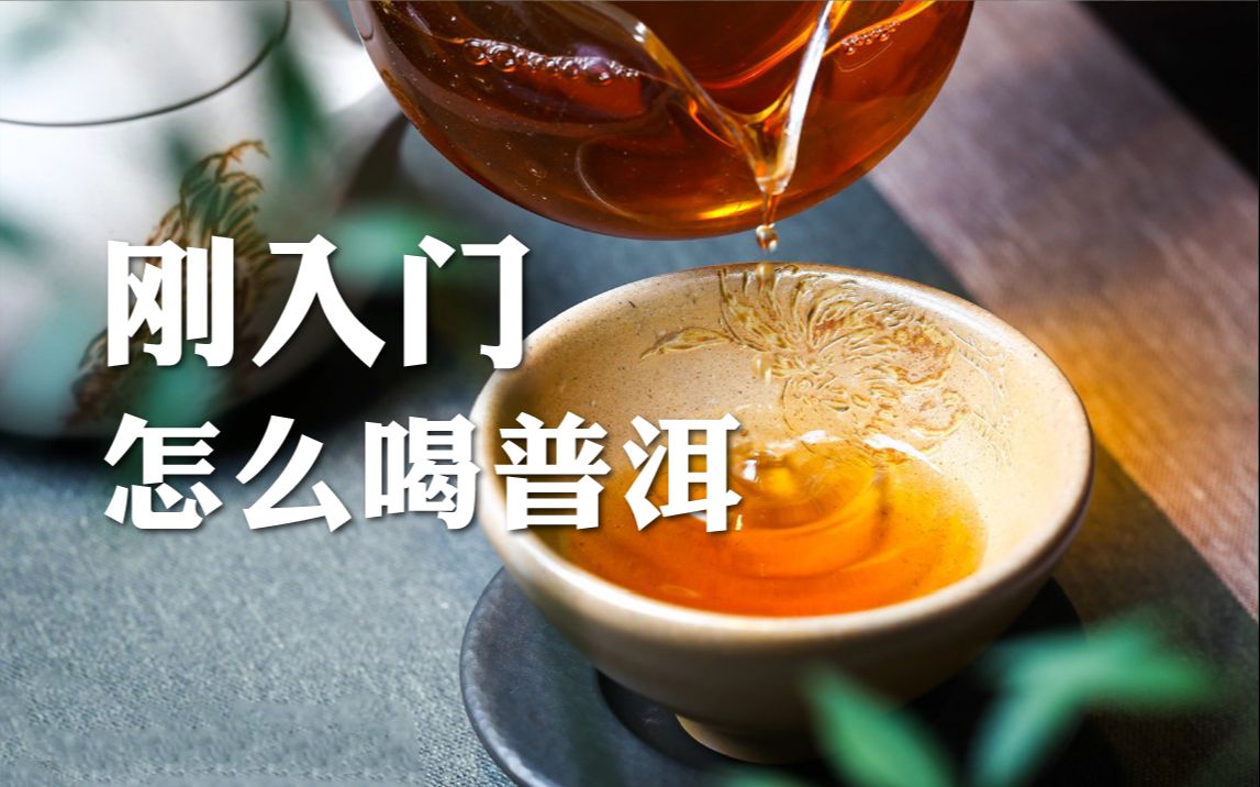 [图]普洱小白刚入门，先喝生茶还是熟茶？肠胃不好的一定要看！