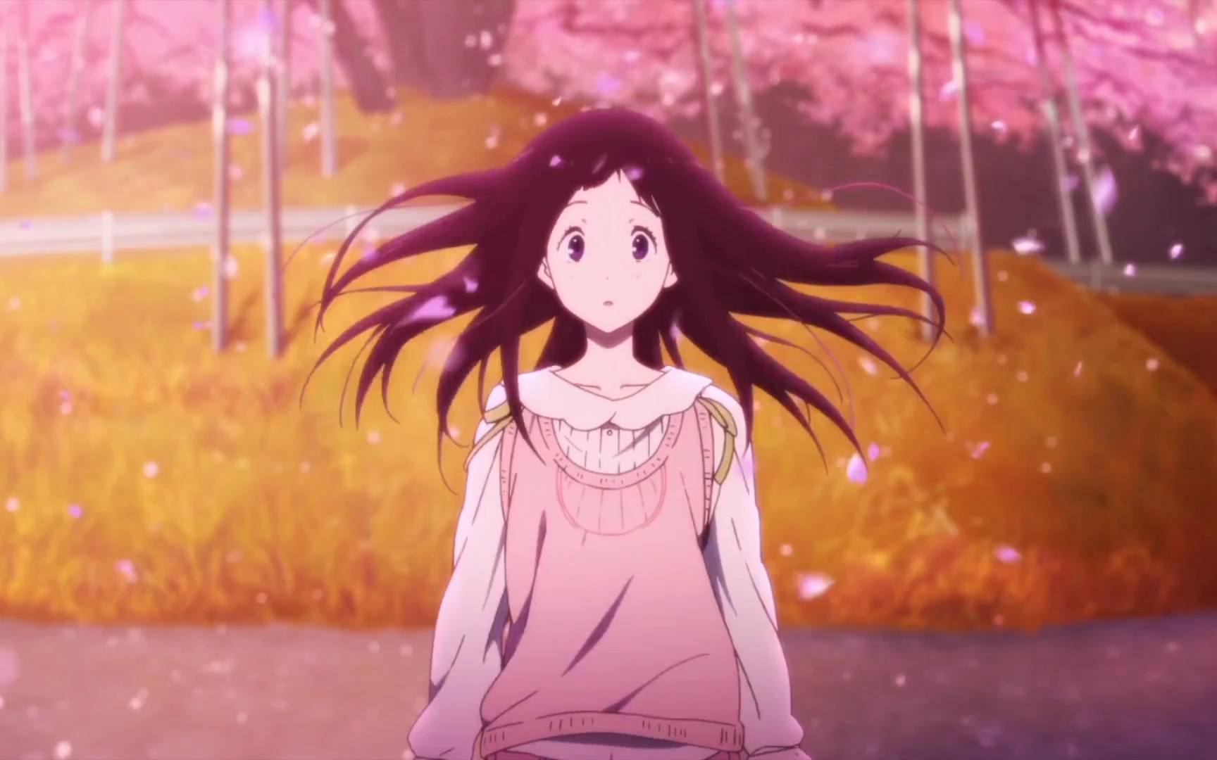 冰菓樱花原视频